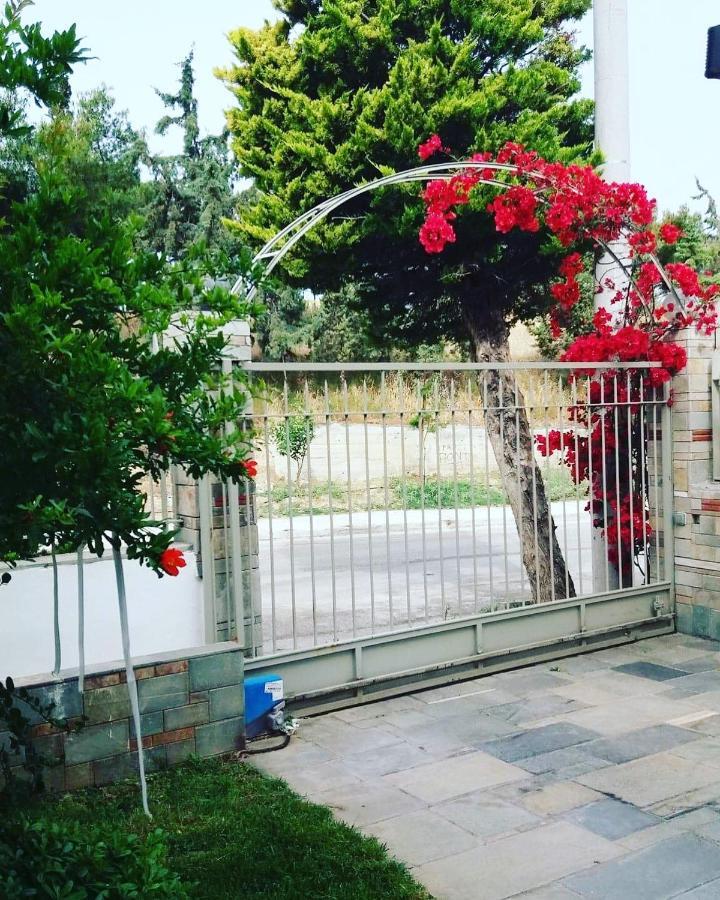 Fantastic Villa, A 5 Minute Drive From The Beach! أثينا المظهر الخارجي الصورة