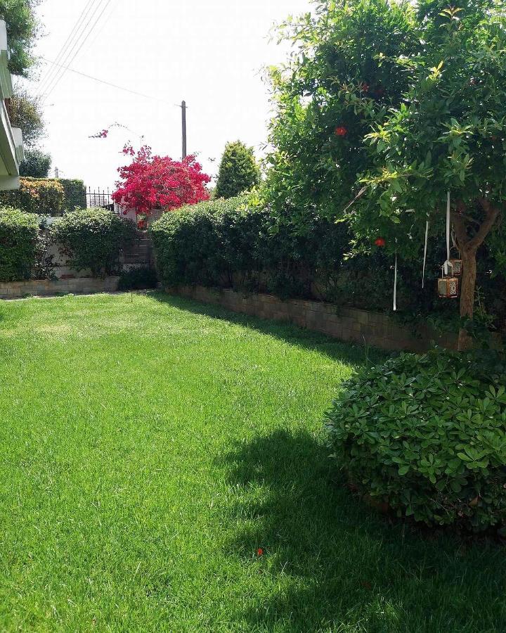 Fantastic Villa, A 5 Minute Drive From The Beach! أثينا المظهر الخارجي الصورة