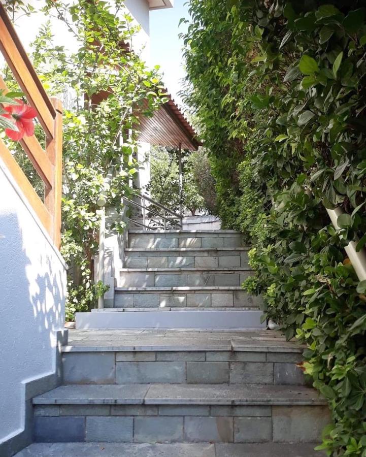Fantastic Villa, A 5 Minute Drive From The Beach! أثينا المظهر الخارجي الصورة